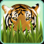 Petting Zoo (Animals for Kids) indir