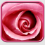 Pink Roses Live Wallpaper indir