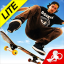 Skateboard Party 3 Lite ft. Greg Lutzka indir
