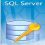 SQL Server Password Changer indir