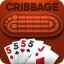 Cribbage - Offline Card Game indir