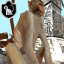 Temple Monkey Run 3D indir