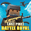 URB: Last Pixel Battle Royale indir