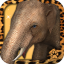 Virtual Pet Elephant indir