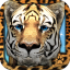 Virtual Pet Tiger indir
