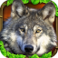 Wildlife Simulator: Wolf indir