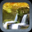Wonderful Waterfall HD indir