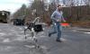 Devrilmeyen Robot-Köpek Spot Tanıtıldı! (Video)