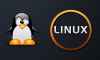 Linux işletim sistemi global pazara açılıyor