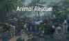 Türk yapımı açık dünya oyunu Animal Rescuer'in yayımlanacağı tarih belli oldu