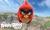 Angry Birds 1 milyar dolar değerine ulaşmayı hedefliyor - Haberler - indir.com