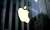 Apple ve Parus bir kez daha mahkemede karşı karşıya - Haberler - indir.com
