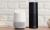 Google Home ve Amazon Alexa 50 Soru İle Test Edildi