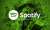 Spotify CEO'su: Her platformun hikaye gibi sesli yayın özelliği olmalı - Haberler - indir.com