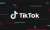 TikTok, yapay zeka hizmeti JukeDeck'i satın aldı - Haberler - indir.com