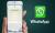 WhatsApp, iPhone 6 ve iPhone 6 Plus için Güncellendi! - Haberler - indir.com