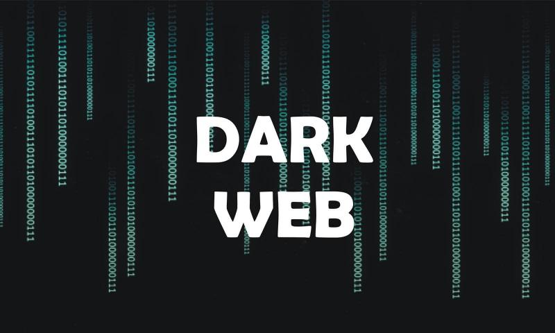 Best Darknet Market Reddit