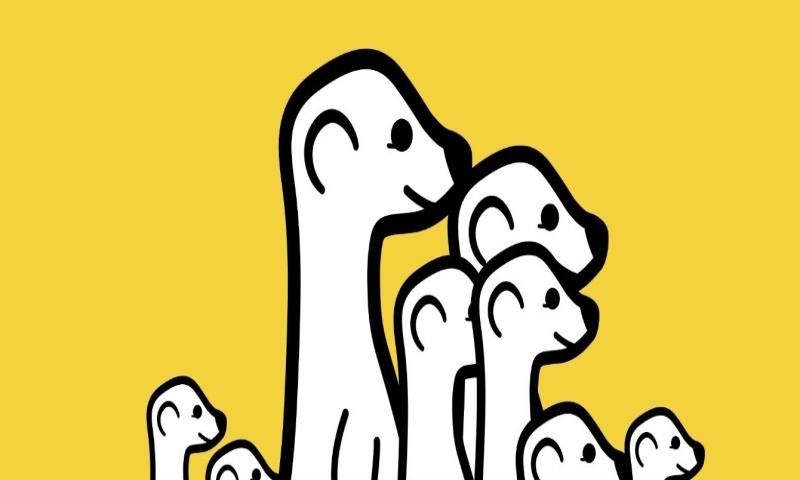 Artık Meerkat Canlı Yayınlarını Web Sitenize Ekleyebilirsiniz!