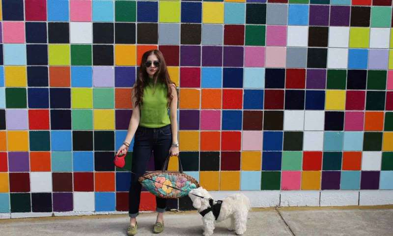 Instagram'da favori renk nasıl öğrenilir?