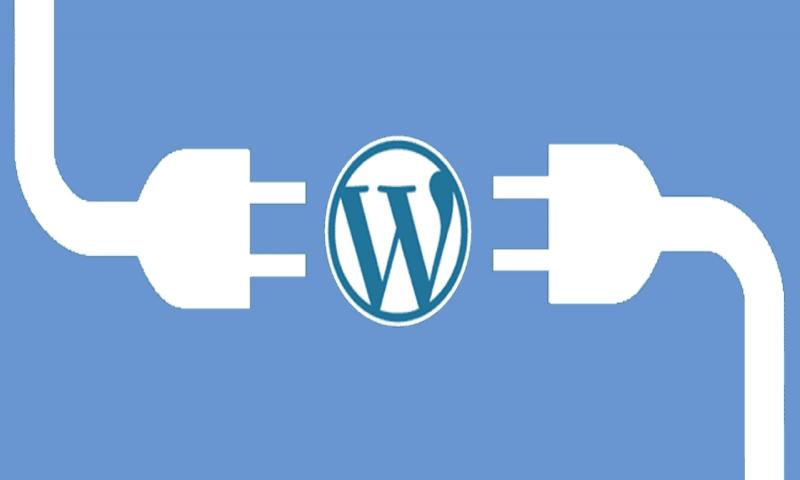 İnternetin yüzde 30'u WordPress'den besleniyor