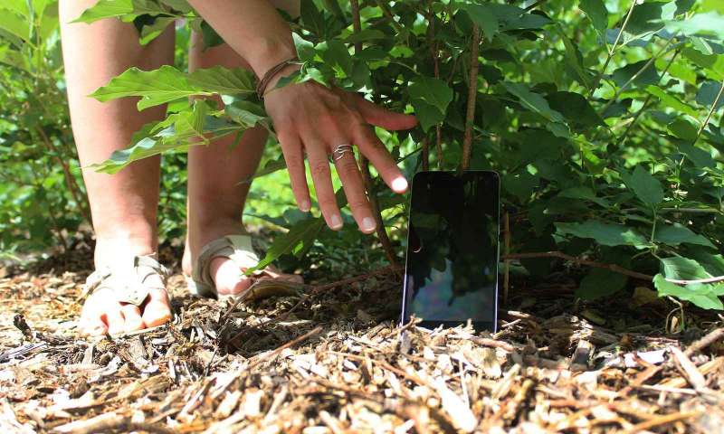 Kaybolan Android telefon nasıl takip edilir?