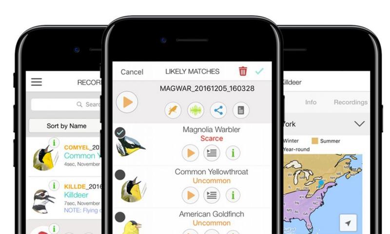 Kuş Seslerinden Türleri Bulabilen Mobil Uygulama