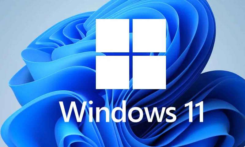 Windows 10 grafik sürücüsü indir