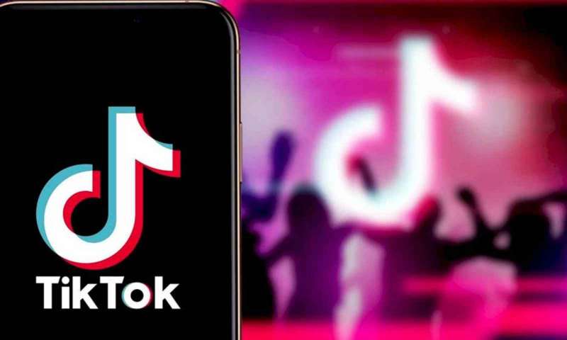 TikTok 2020'nin en iyilerini açıkladı