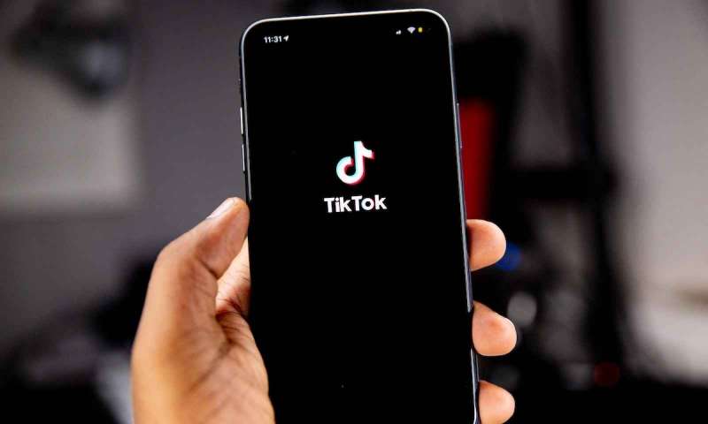 TikTok en çok gelir elde eden mobil uygulama oldu