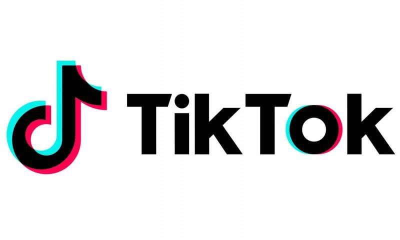 TikTok Uygulaması Büyük Bir Başarı Yakaladı