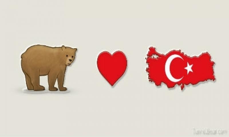 TunnelBear 1 Mayıs'tan Sonra Ücretli Olacak