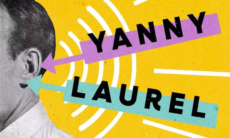 'Yanny mi, Laurel mi' sesinin sahibi bulundu: Aslında ne demiş?