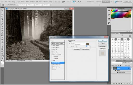 Adobe photoshop bilgisayar için ücretsiz indir