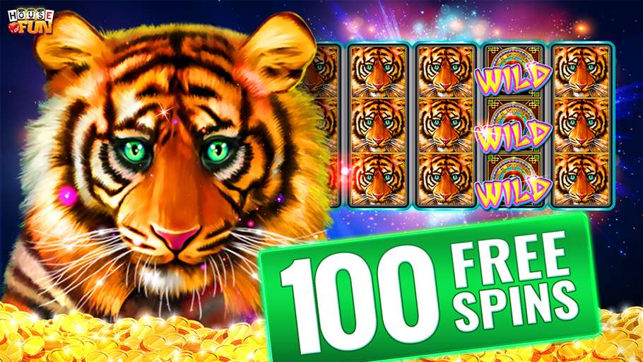 house of fun slots casinofree coins